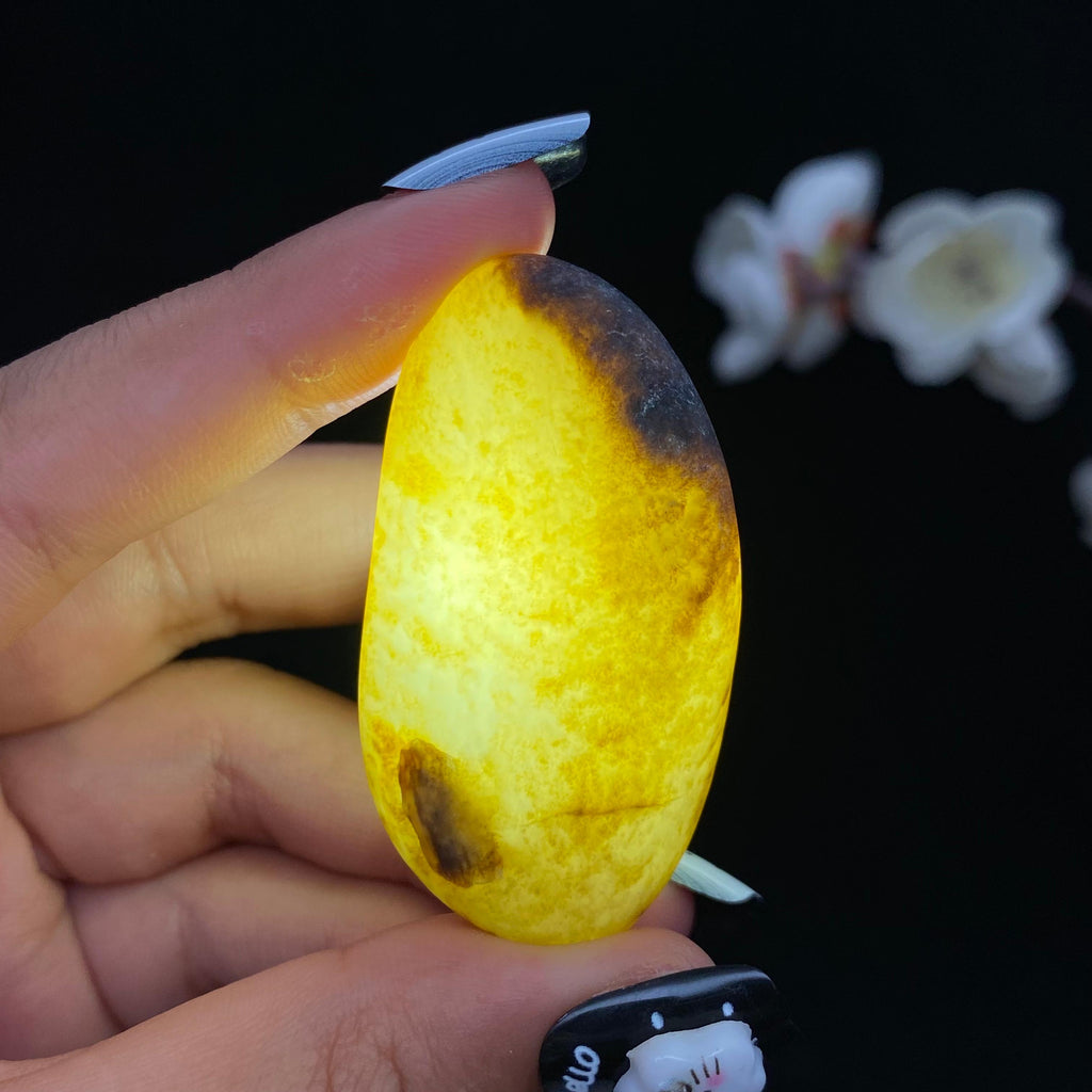 和田玉聚黑皮带秋梨籽料（27.7g）