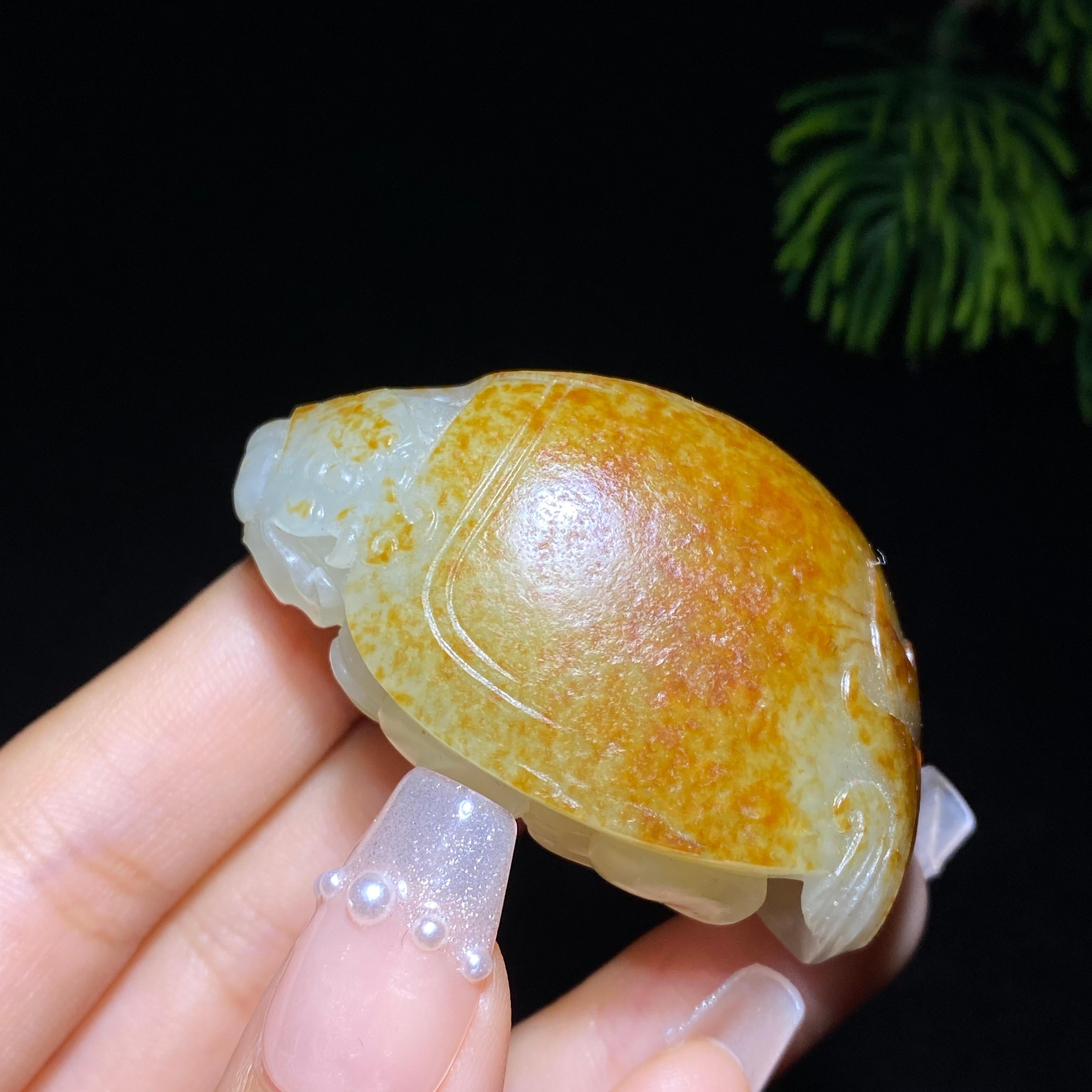 和田玉籽料龙龟（63.6g）