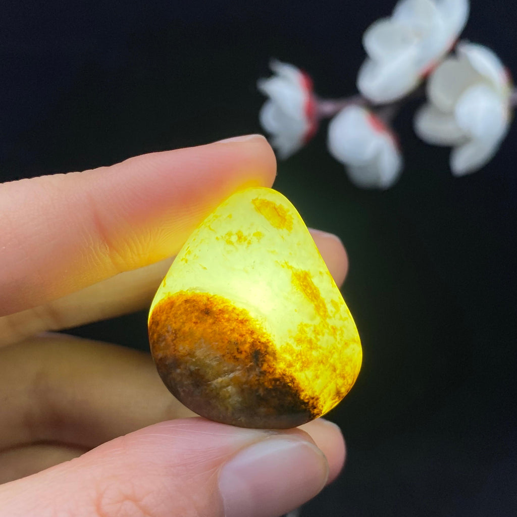 和田玉聚黄皮籽料吊坠籽（12.4g）