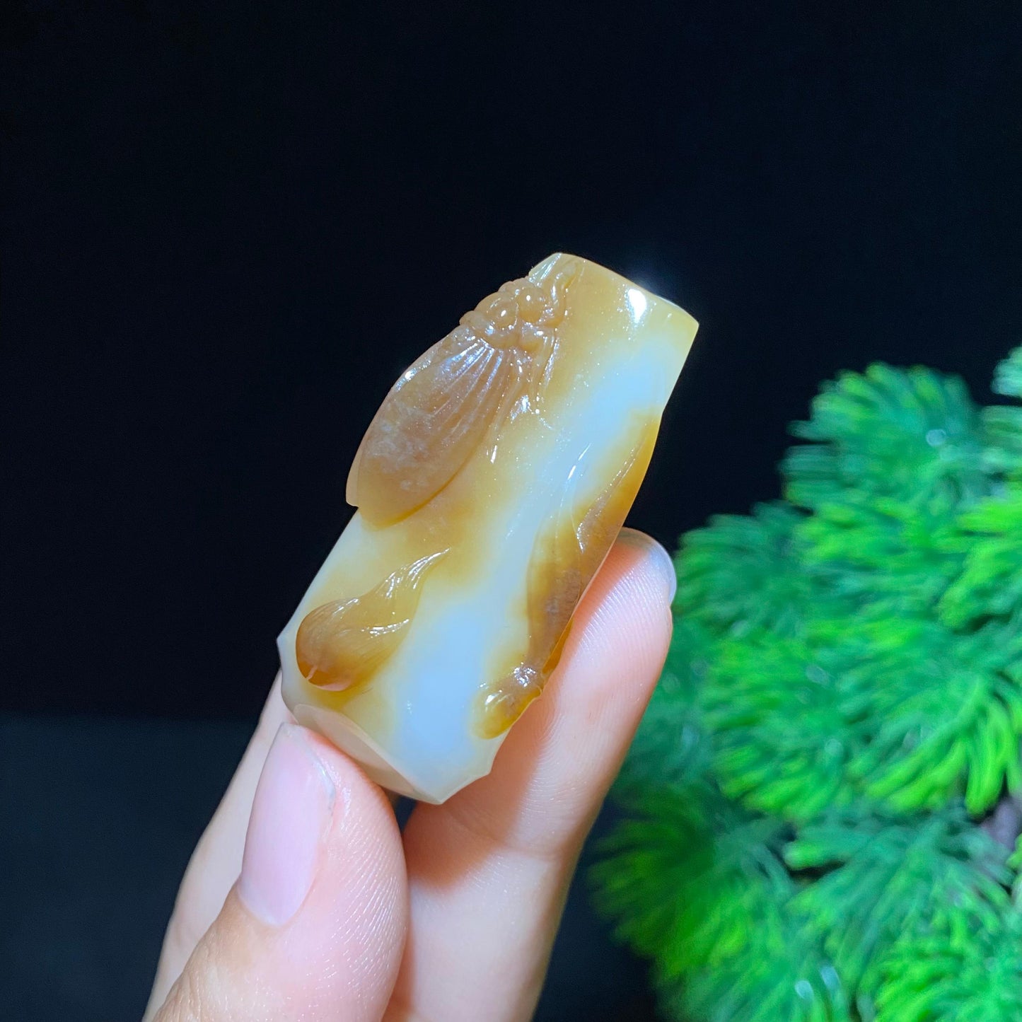 和田糖白玉蝉一鸣惊人挂件（21.2g）