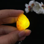 和田玉聚黄皮籽料吊坠籽（8.2g）