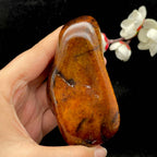 和田玉满红皮籽料（240.2g）