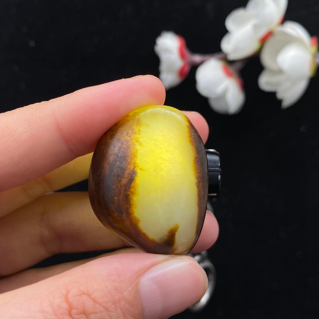 和田玉秋梨黄皮籽料（19.3g）