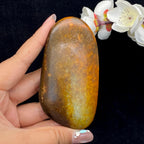 和田玉黄沁皮籽料原石（157g）