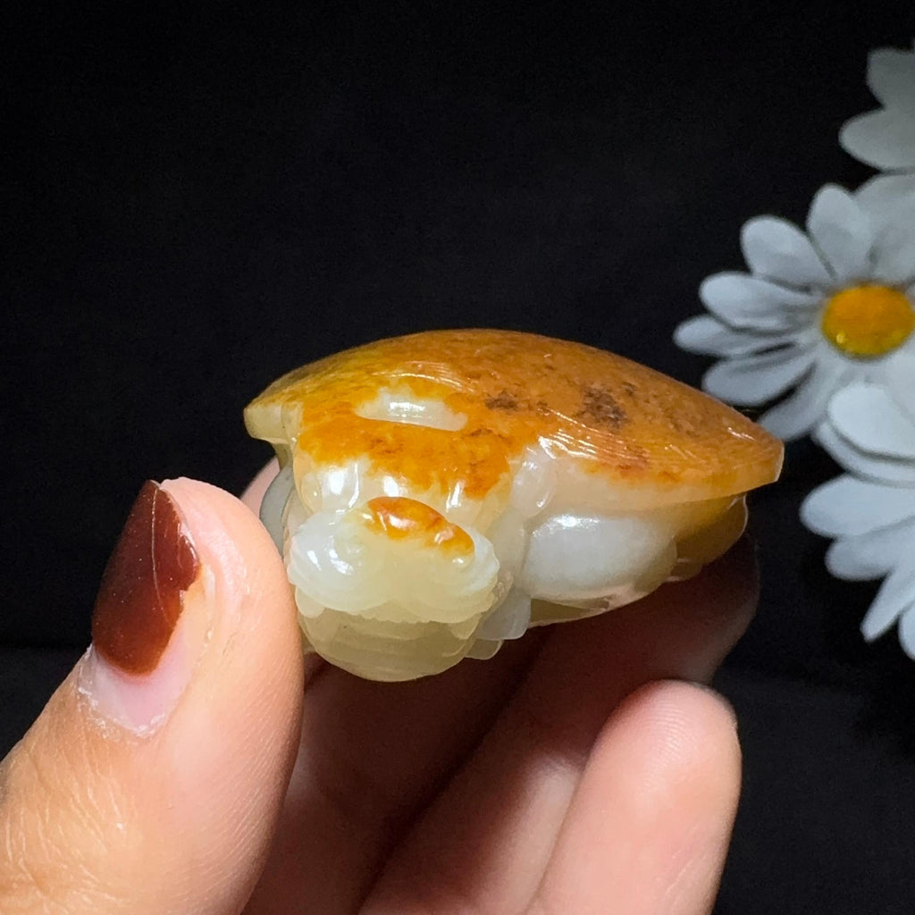 精品和田玉籽料手把件龙龟（51.0g）