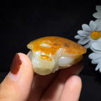 精品和田玉籽料手把件龙龟（51.0g）