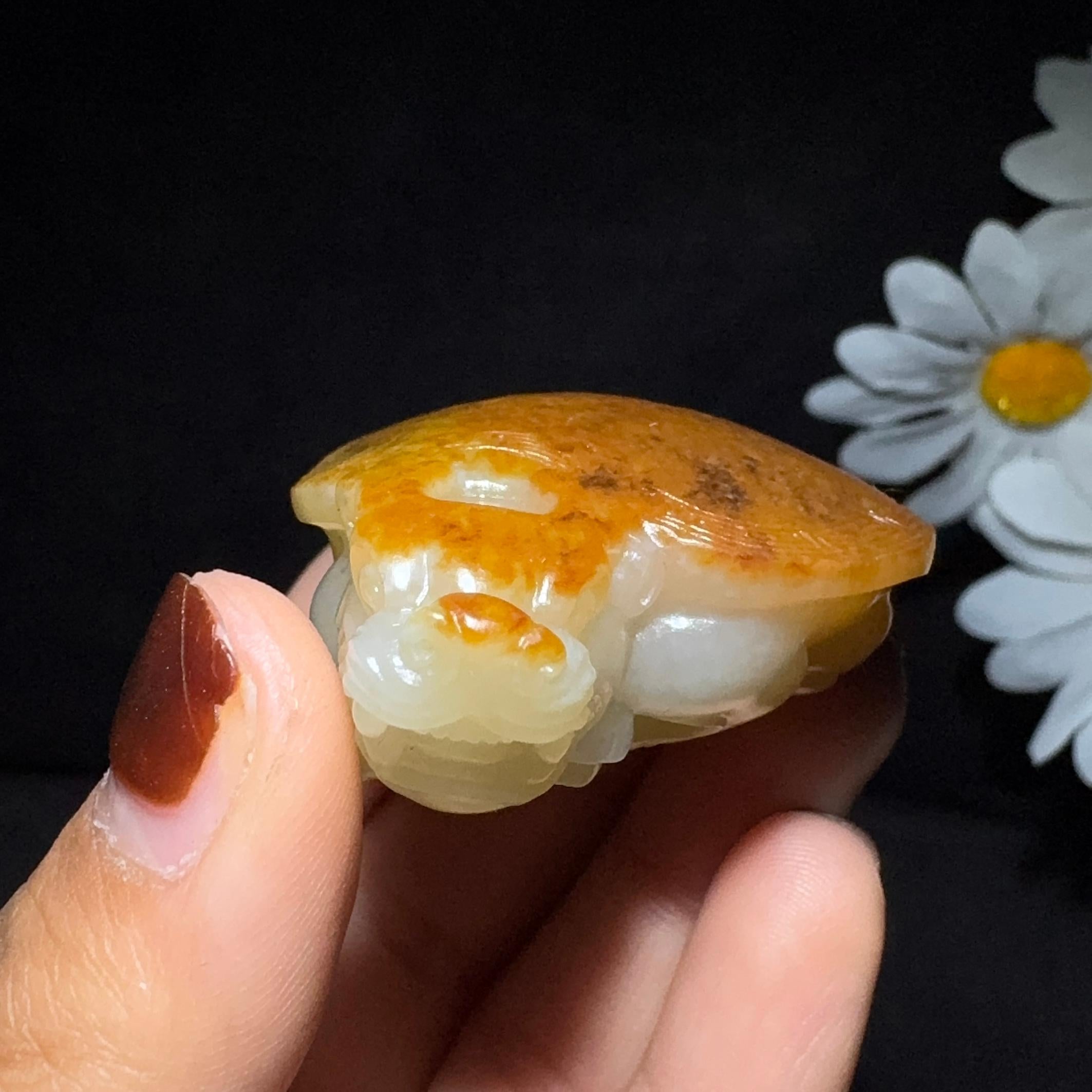 精品和田玉籽料手把件龙龟（51.0g）