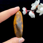 【超值推荐】和田玉黄沁皮籽料原石（19.7g）