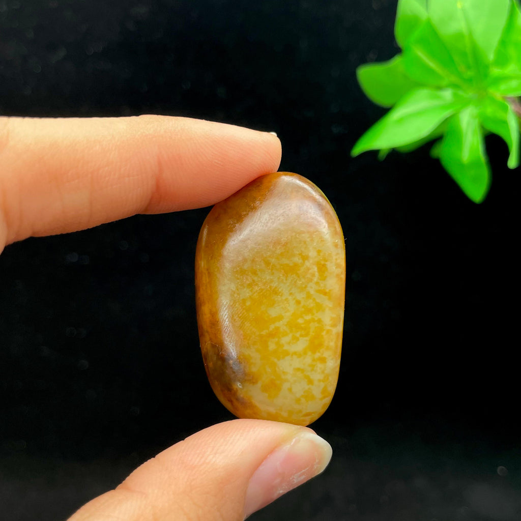 和田玉聚黄皮籽料（26.1g）