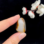 和田玉黑红皮籽料原石（6.5g）