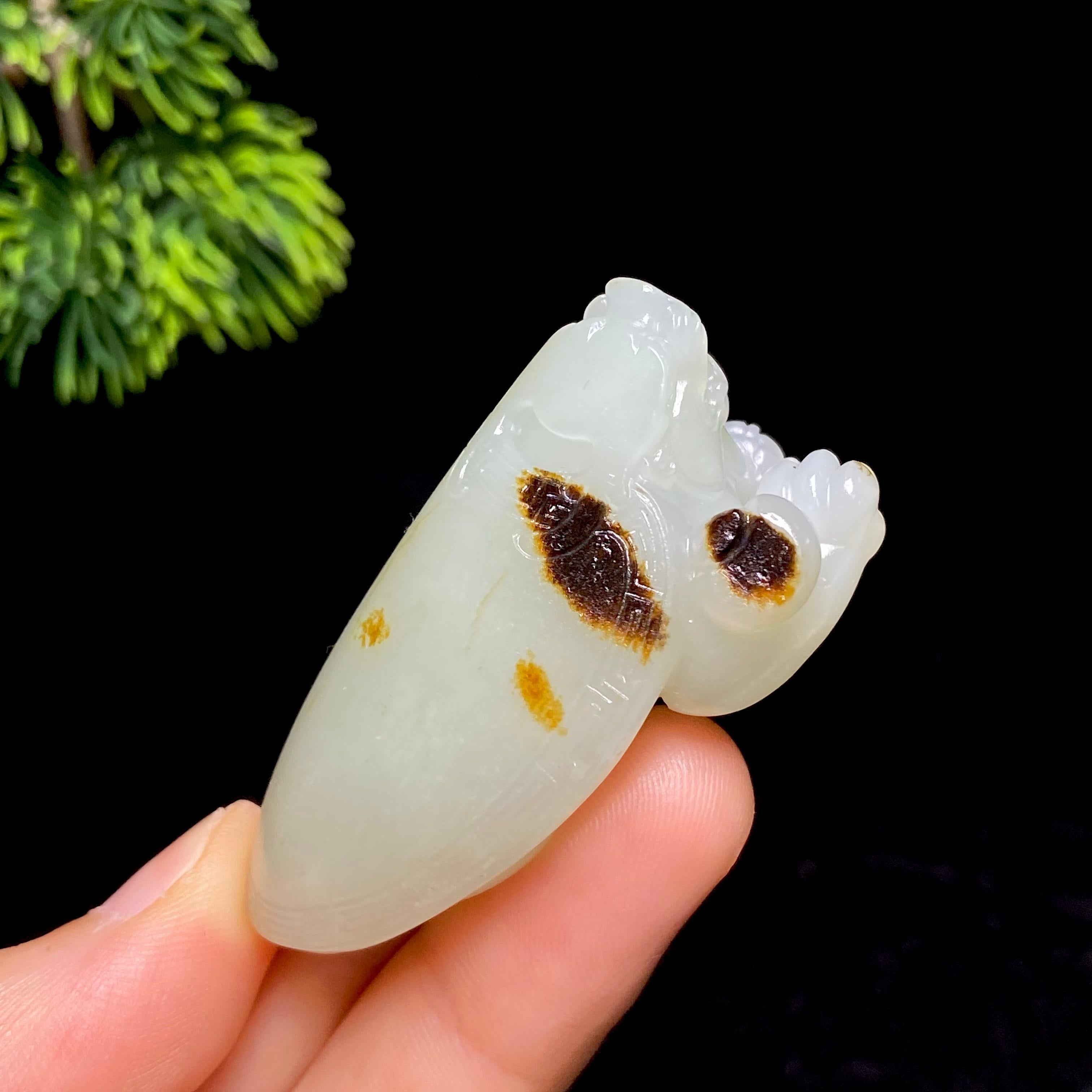和田玉籽料龙龟（38.1g）