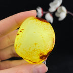 和田玉聚红皮籽料原石（64.3g）