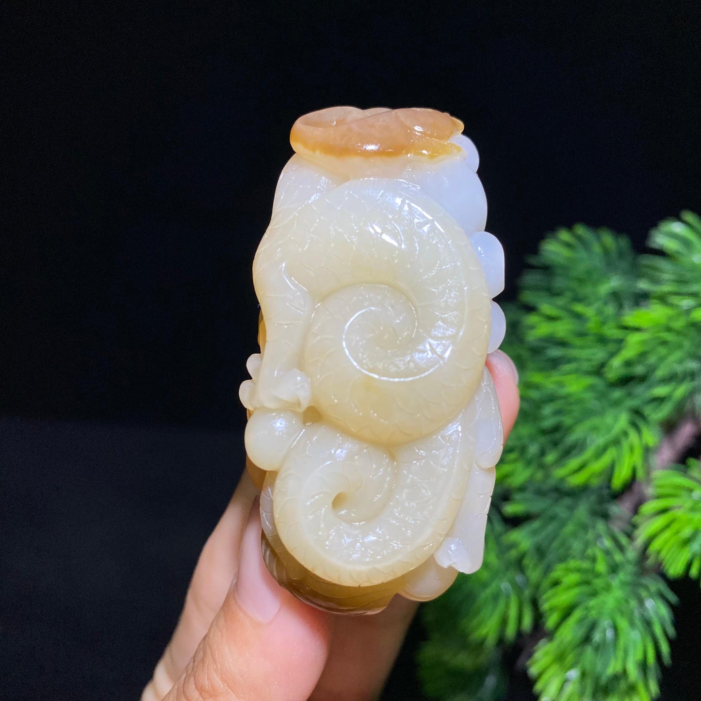 和田糖白玉龙牌挂件（69.6g）