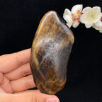 和田玉秋梨黄皮籽料手把件（192g）