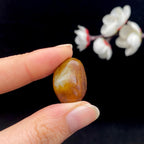 和田玉聚红皮籽料（5.1g）