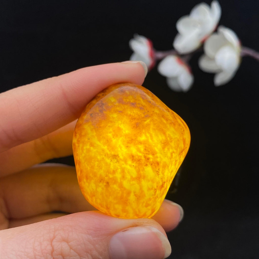 和田玉聚黄皮籽料挂件（25.8g）