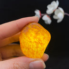 和田玉聚黄皮籽料挂件（25.8g）