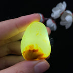 和田玉聚黄皮籽料挂件（25.2g）