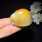 精品和田玉籽料手把件龙龟（69.7g）