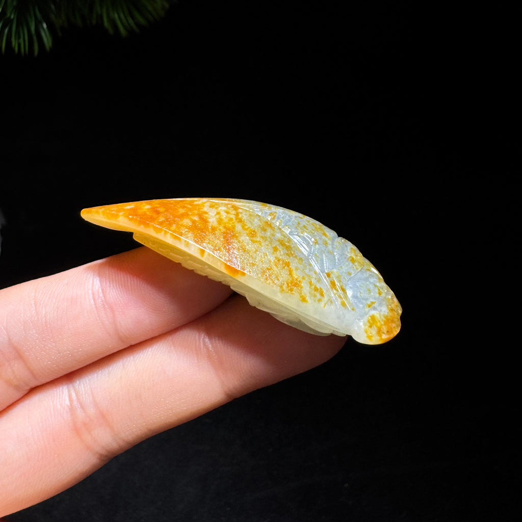 和田玉籽料青花蝉（21.0g）