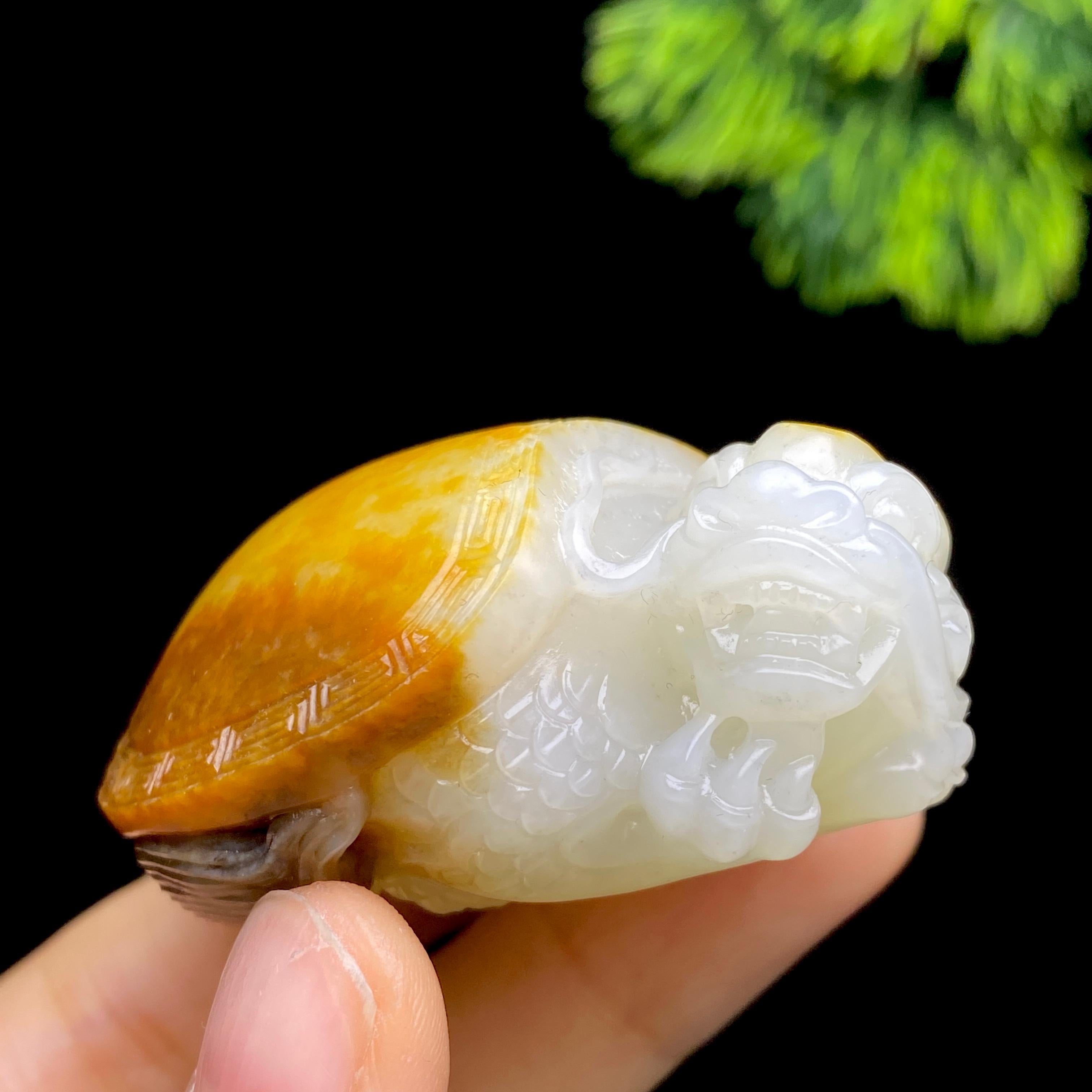 和田玉籽料龙龟（68.9g）