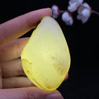和田玉秋梨黑皮籽料手把件（72.4g）