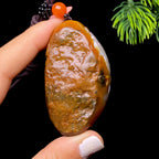 和田玉籽料年年有余（53.4g）