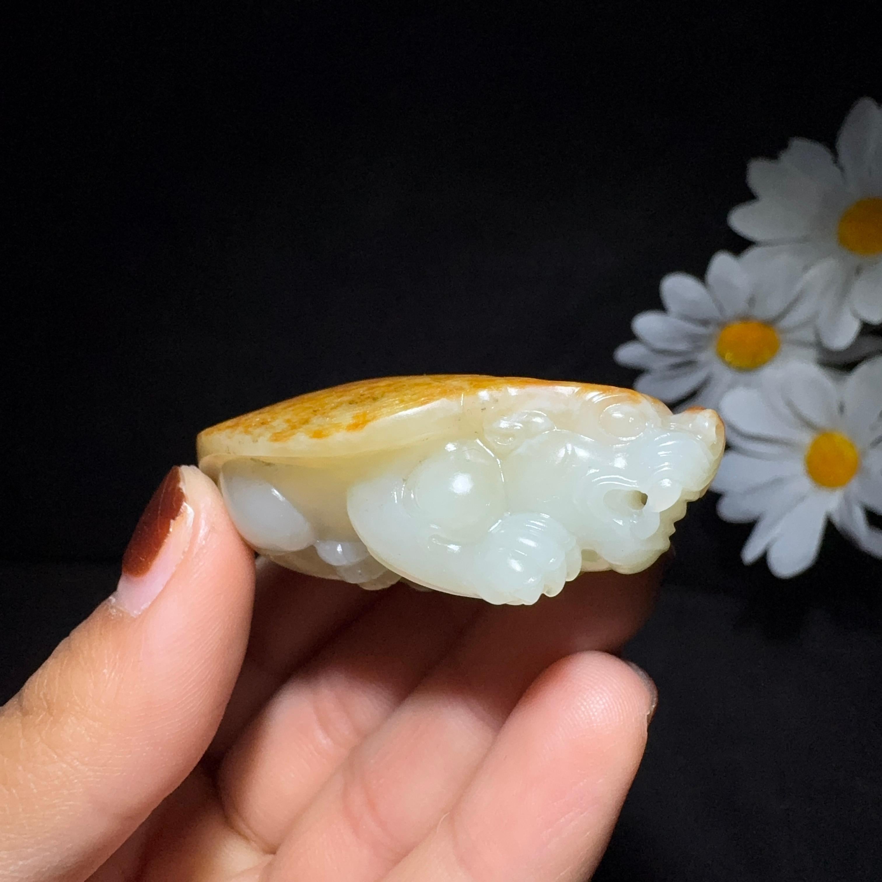 精品和田玉籽料手把件龙龟（51.0g）