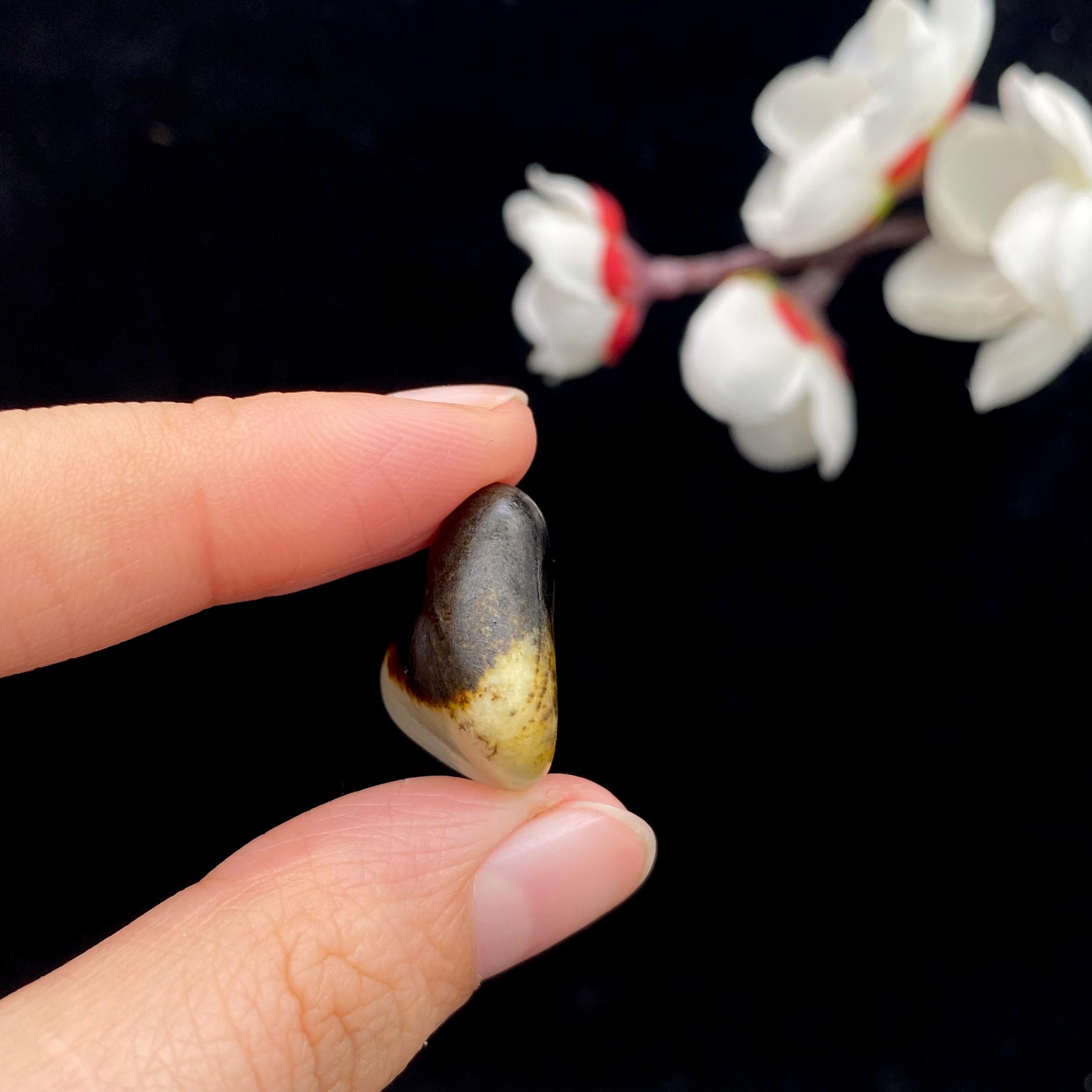 和田玉聚黑皮籽料戒面籽（5.7g）