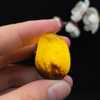 和田玉秋梨皮籽料吊坠籽（12.1g）