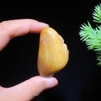 和田玉籽料兽面（34.6g）