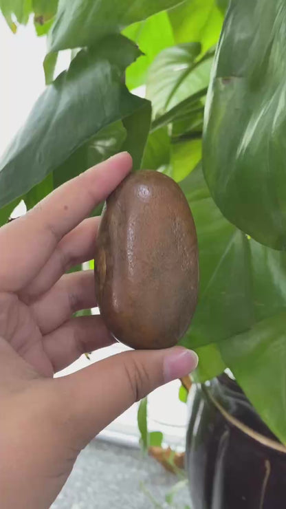 和田玉-黄沁皮籽料原石