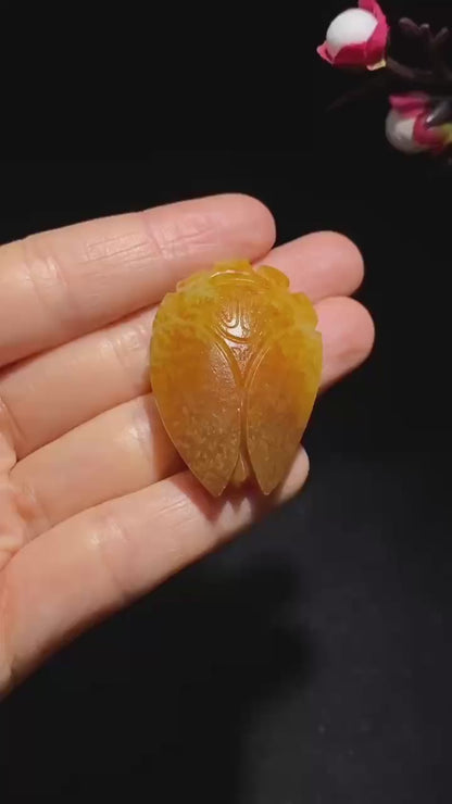 和田玉籽料洒金红皮一鸣惊人