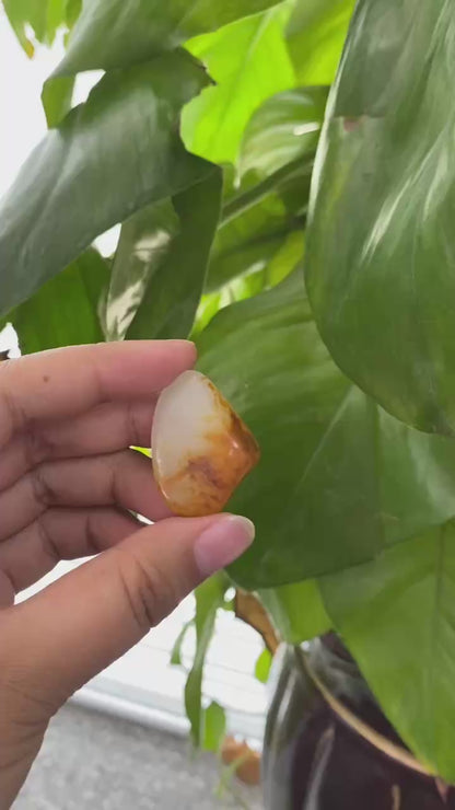 和田玉-聚黄皮白肉籽料吊坠籽