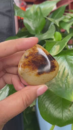 和田玉秋梨黑皮籽料挂件（44.5g）