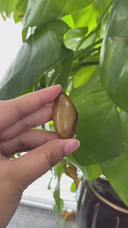 和田玉-洒金皮白肉籽料挂件