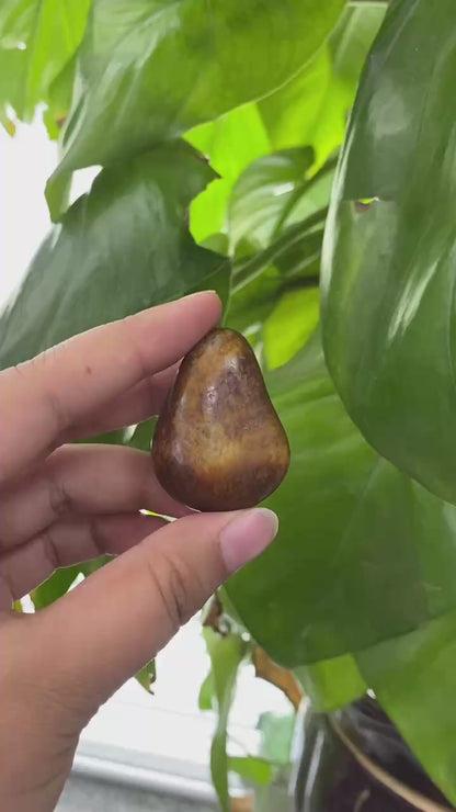 和田玉-黄沁皮漏白肉籽料挂件