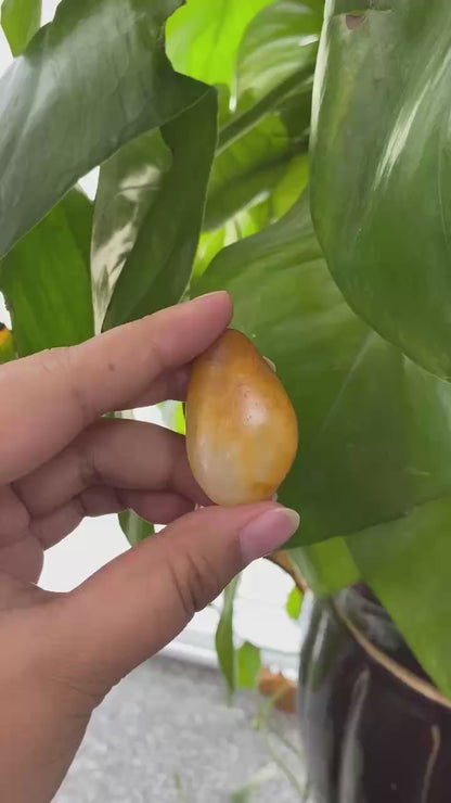 和田玉-聚黄皮白肉籽料挂件