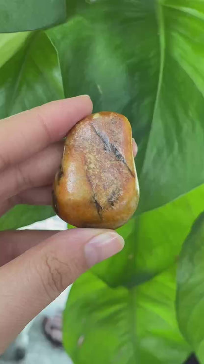 和田玉-聚黄皮青花底籽料挂件