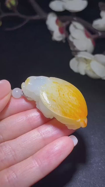 和田籽料龙龟