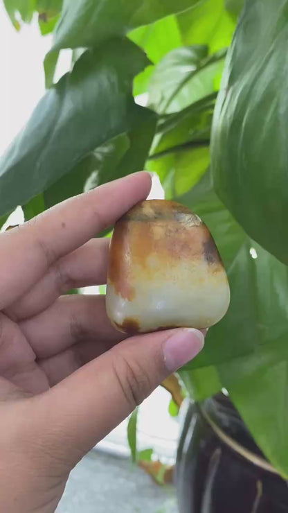 和田玉-聚黄皮青花底籽料挂件