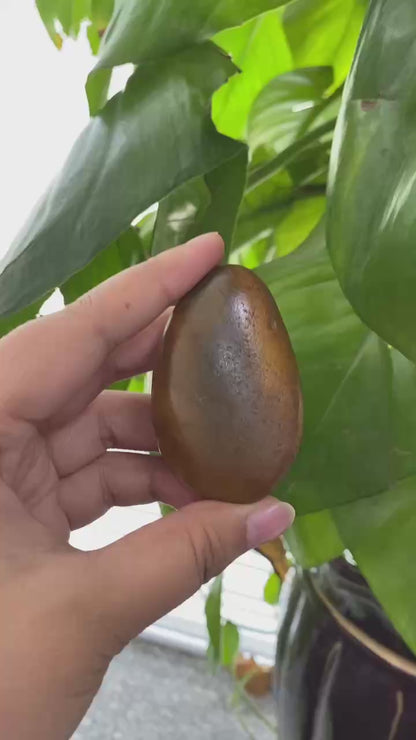 和田玉-黄沁皮籽料原石