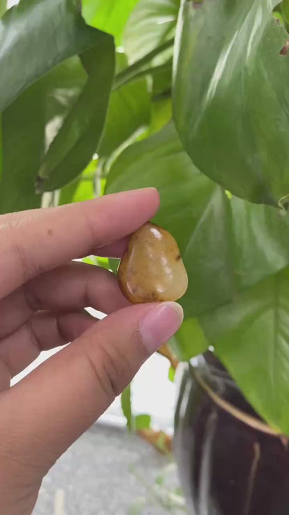 和田玉-聚黄皮白肉籽料吊坠籽