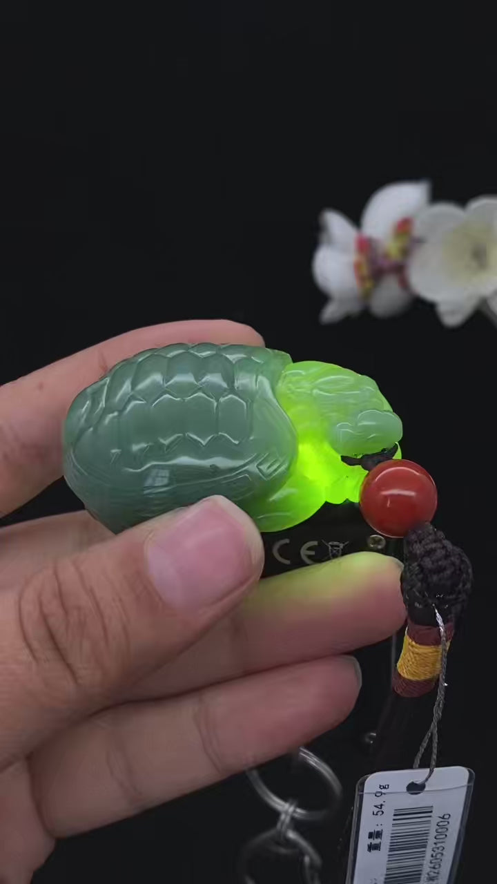 和田玉-碧玉猫眼【龙龟】手把件（54.9g）