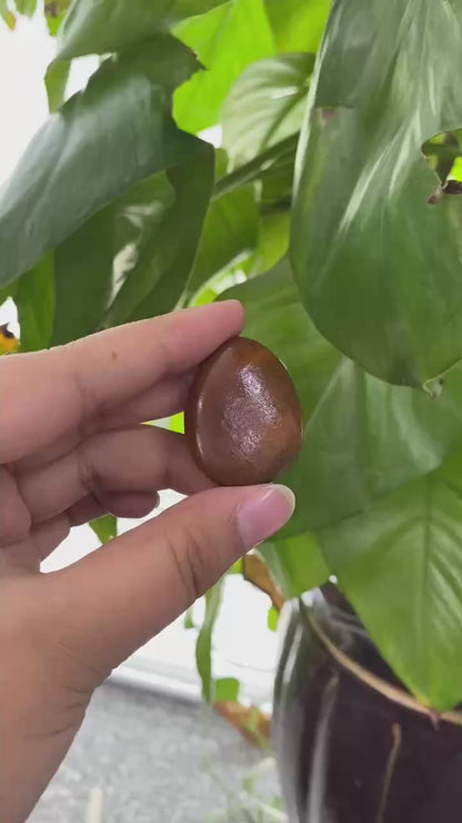和田玉-红沁皮籽料原石